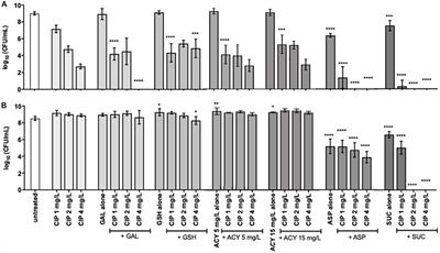 Fostering Innovation in the Treatment of Chronic Polymicrobial Cystic Fibrosis-Associated Infections Exploring Aspartic Acid and Succinic Acid as Ciprofloxacin Adjuvants